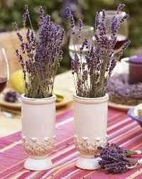 Lavanda
