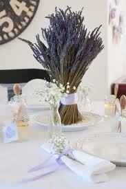 Lavanda