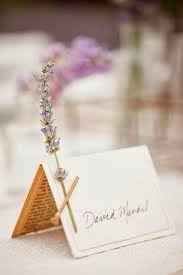 Lavanda