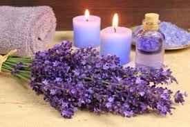 Lavanda 