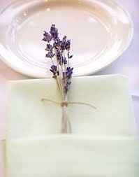 Lavanda