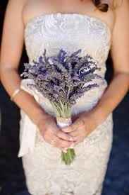 Lavanda
