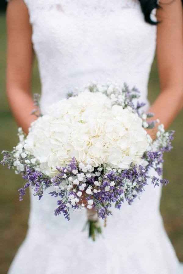 Lavanda