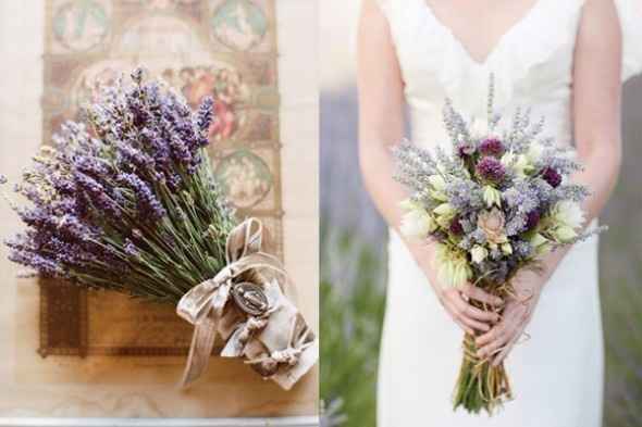 Lavanda