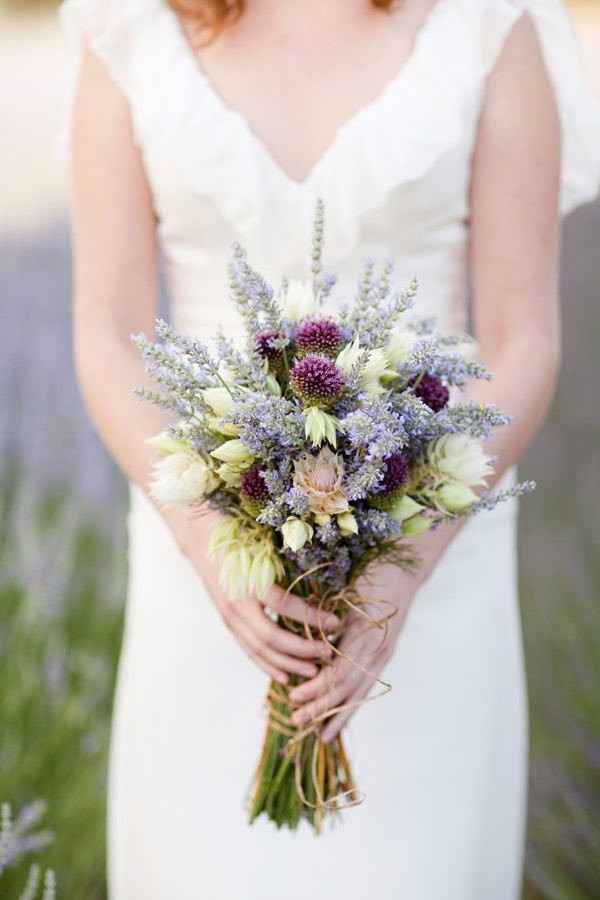 Lavanda