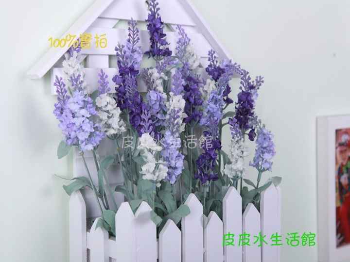 Lavanda