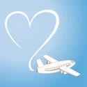 avião e amor 8