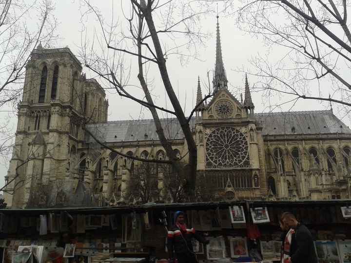 Catedral de Notre Dame