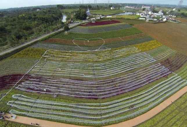 Look da noiva/ 27-09 - 2