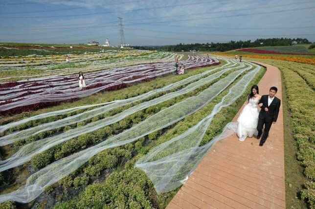 Look da noiva/ 27-09 - 3