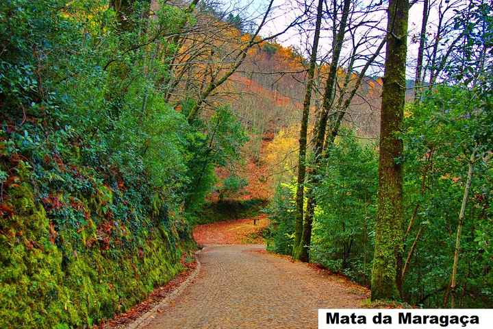 Opções de Lua de Mel em Portugal – Parte 9 – Beira Alta/beira Interior - 26