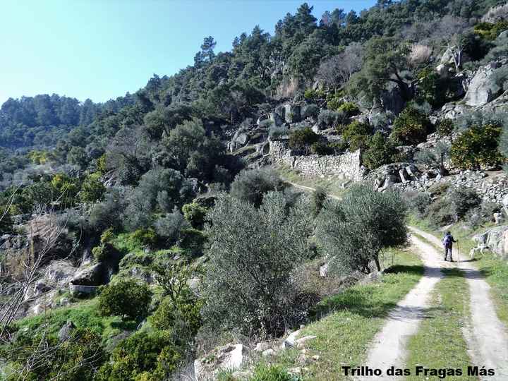 Opções de Lua de Mel em Portugal – Parte 12 – Trás-os-montes e Douro Internacional - 14
