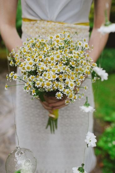 Margaridas no casamento? - 1