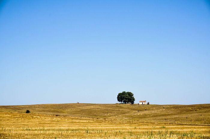 Opções de Lua de Mel em Portugal – Parte 3 – Alentejo 24