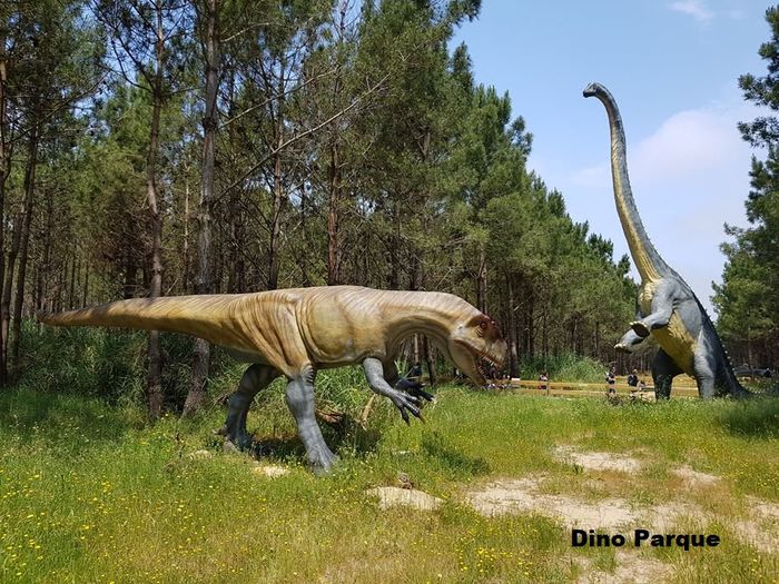 Opções de Lua de Mel em Portugal – Parte 6 – Oeste e Leiria 2