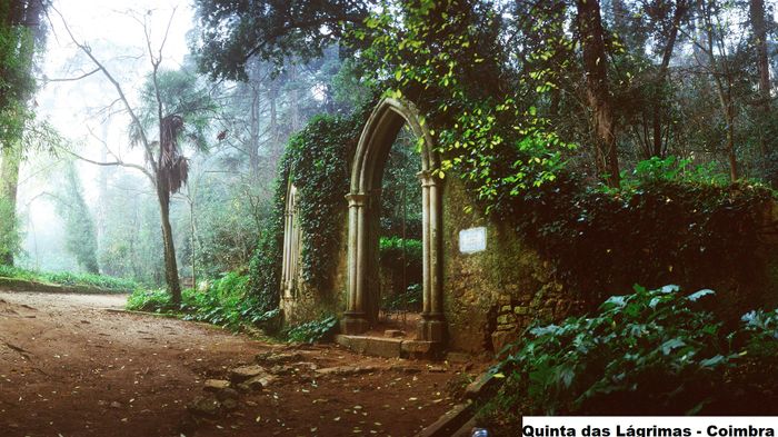 Opções de Lua de Mel em Portugal – Parte 8 – Beira Litoral - 10