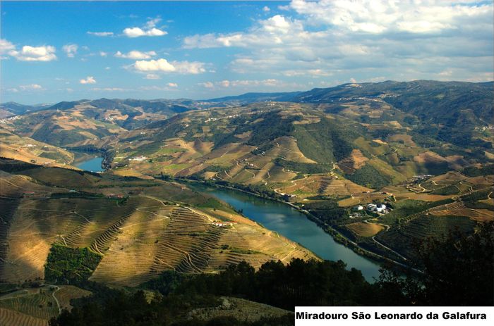 Opções de Lua de Mel em Portugal – Parte 10 – Porto e Douro Vinhateiro - 30