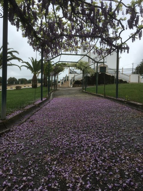 Partilhemos e encontremos semelhanças 🤣 12