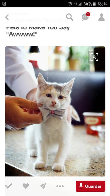 Amores de quatro patas 🐾 - 2