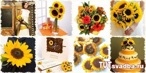 Tema do Casamento - Girasol 4