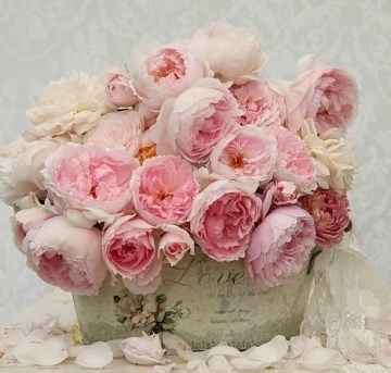 Peonias