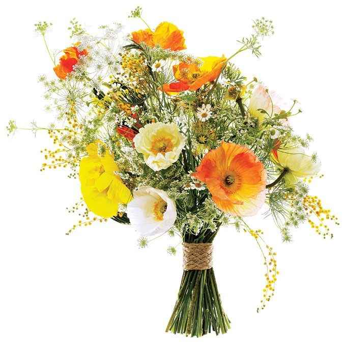 Ramos de flores silvestres