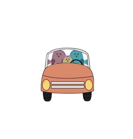 Carro passarinhos