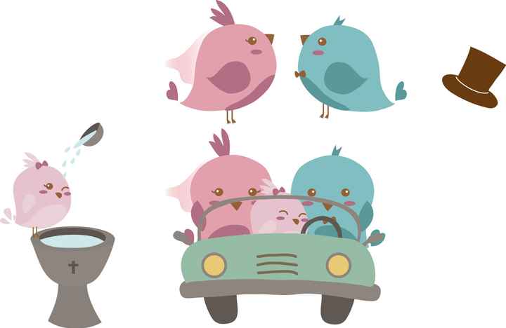 Birds 3
