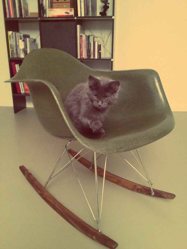 Cadeira Eames   Mies