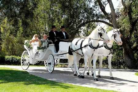 Transporte