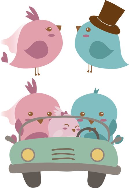 Birds