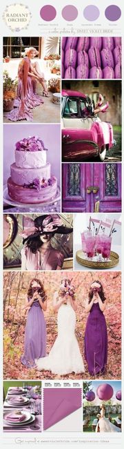 Casamento Violeta