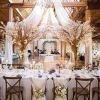 Casamento Rustico