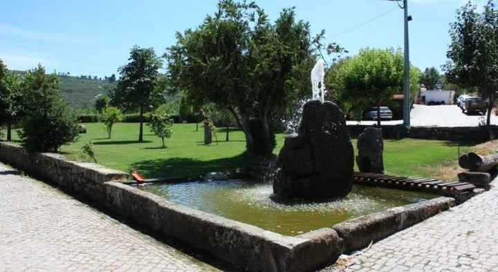 Quinta 5