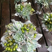 Bouquet c/ suculentas - 4