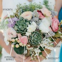 Bouquet c/ suculentas - 6