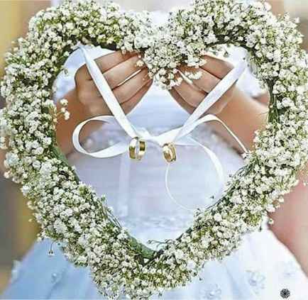 Imagem 9
