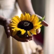 Imagem 8