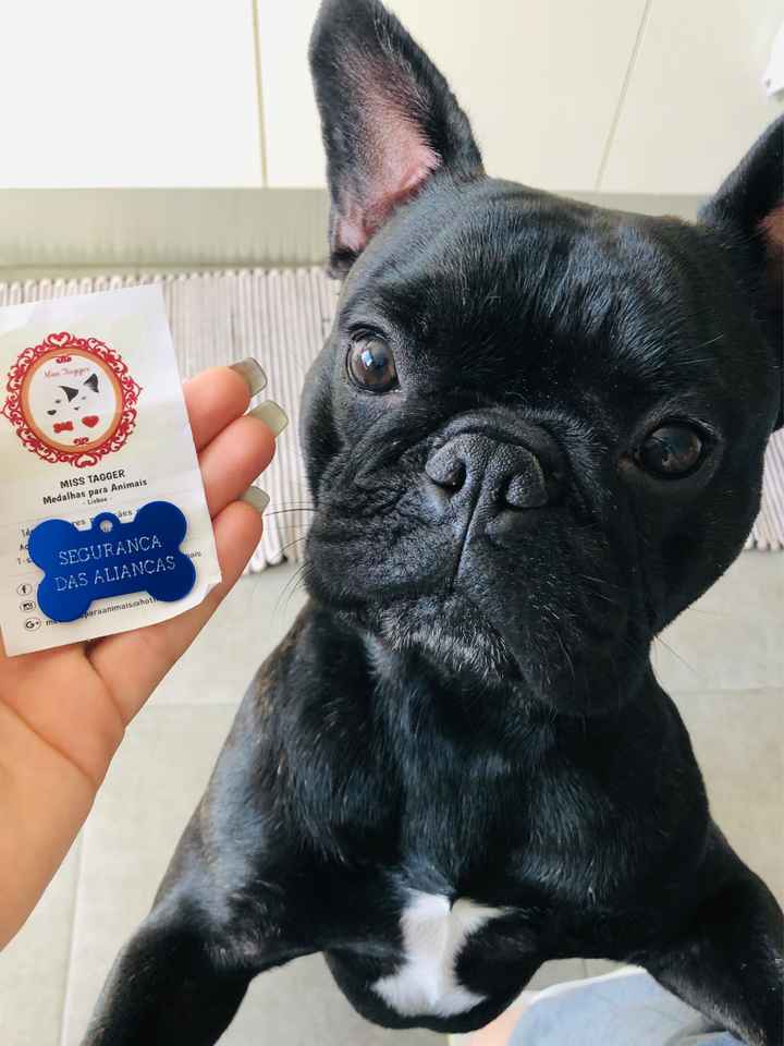 1 ano de noivado - 1