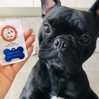 1 ano de noivado - 1