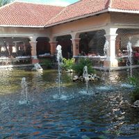 Lua de mel acessível - 3