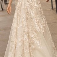 As Costas do Vestido