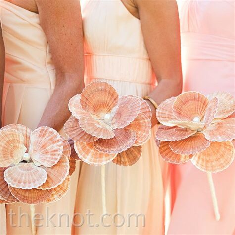 Bouquet de conchas - 1