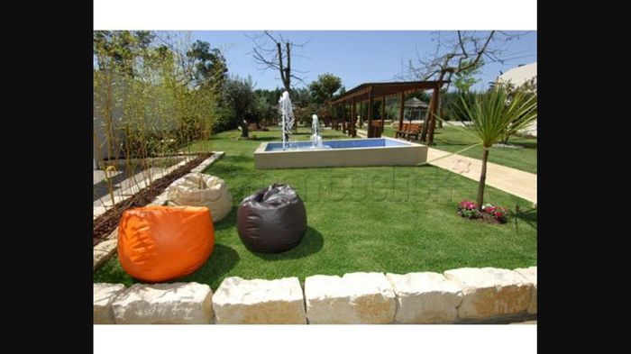 Quinta dona maria ou quinta oliveira -preciso de ajuda - 6