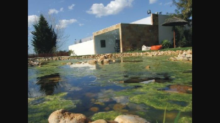 Quinta dona maria ou quinta oliveira -preciso de ajuda - 7