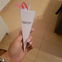 Cones para arroz - 3
