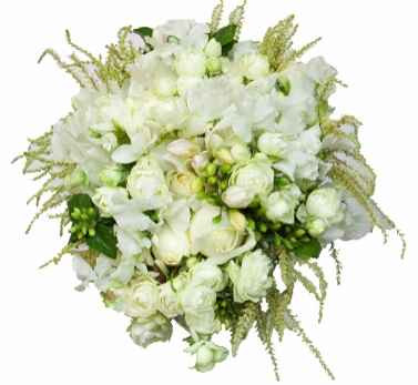 flores de setembro