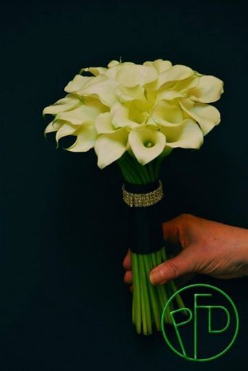 Flores de setembro