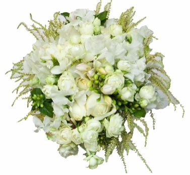 flores de setembro