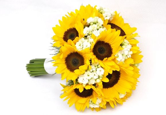 flores de setembro